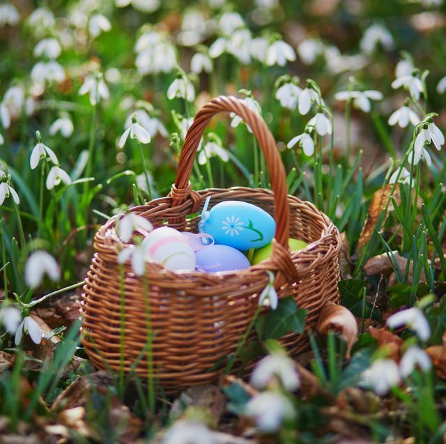 Easter eggs in a basket