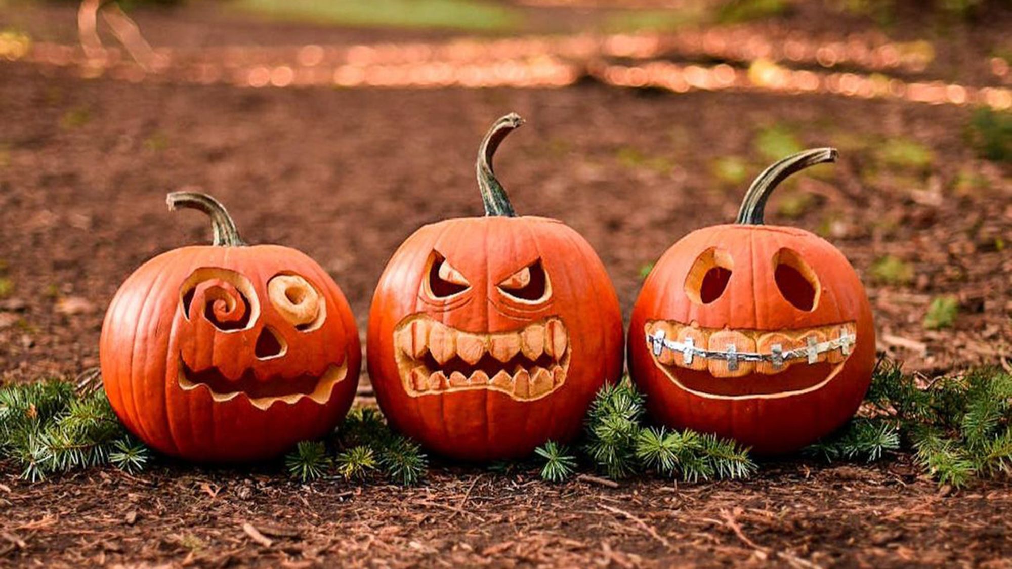 3 carved pumpkin designs